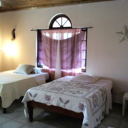 Dolphin Bay Yoga Guest House Drapers Exterior foto