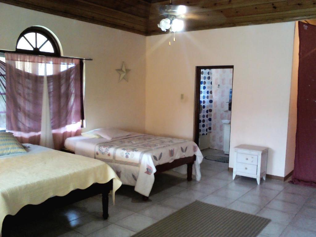 Dolphin Bay Yoga Guest House Drapers Zimmer foto