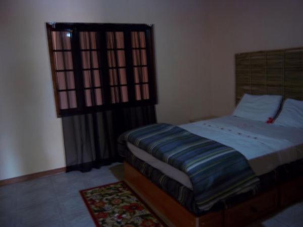 Dolphin Bay Yoga Guest House Drapers Exterior foto