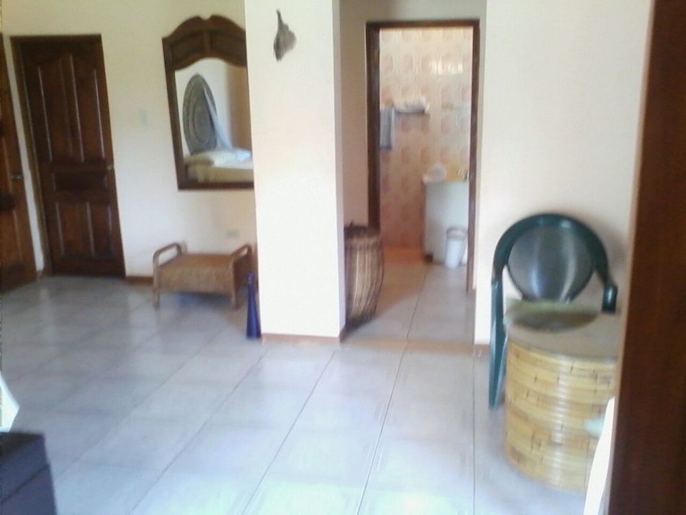 Dolphin Bay Yoga Guest House Drapers Exterior foto